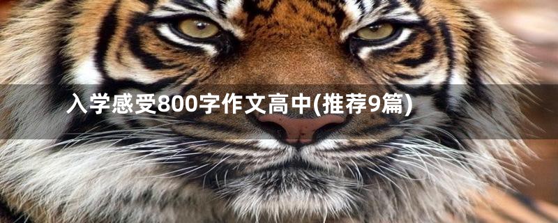 入学感受800字作文高中(推荐9篇)