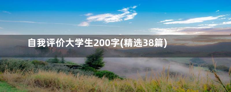 自我评价大学生200字(精选38篇)