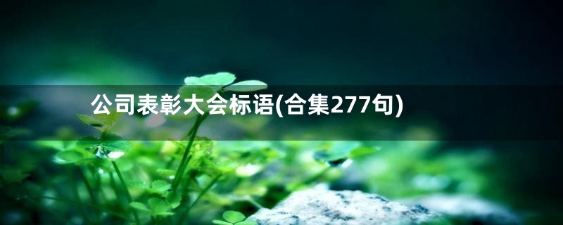 公司表彰大会标语(合集277句)