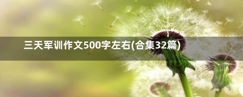 三天军训作文500字左右(合集32篇)