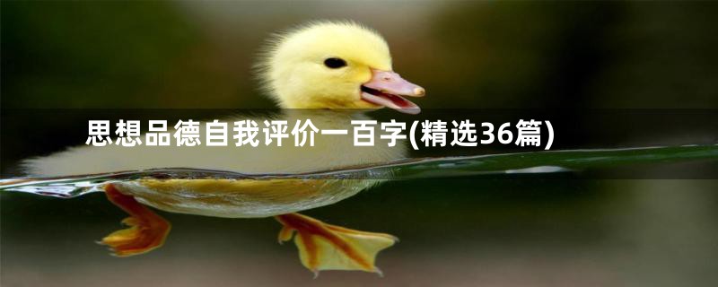 思想品德自我评价一百字(精选36篇)