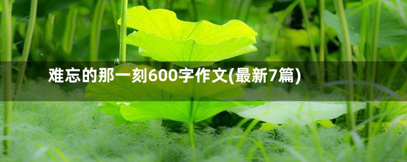 难忘的那一刻600字作文(最新7篇)