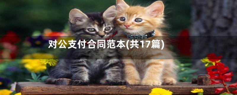 对公支付合同范本(共17篇)