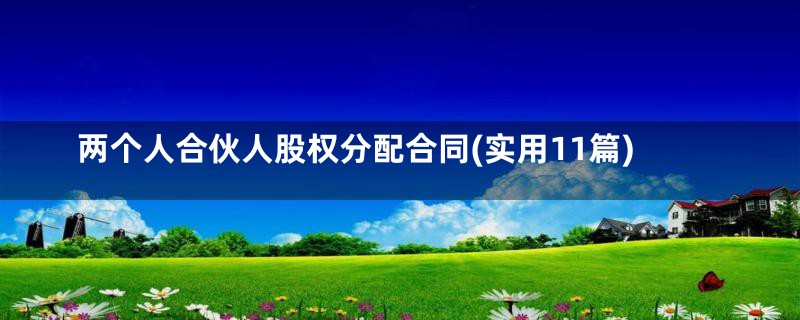 两个人合伙人股权分配合同(实用11篇)