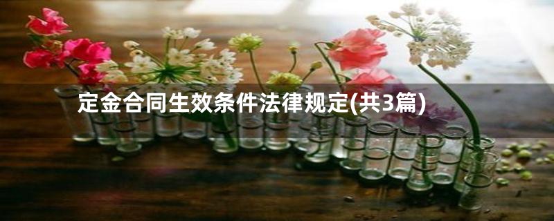 定金合同生效条件法律规定(共3篇)