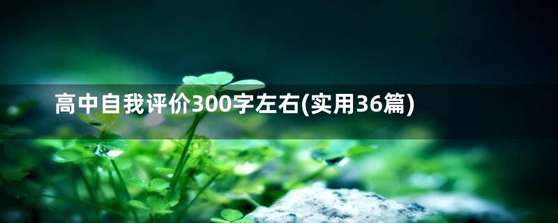 高中自我评价300字左右(实用36篇)