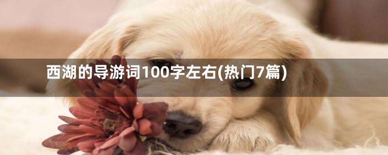 西湖的导游词100字左右(热门7篇)