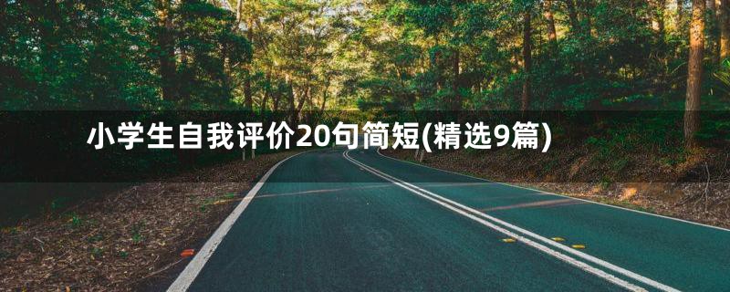 小学生自我评价20句简短(精选9篇)