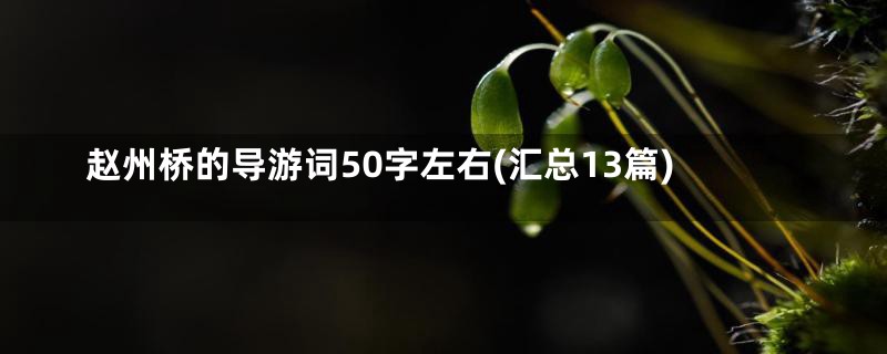 赵州桥的导游词50字左右(汇总13篇)