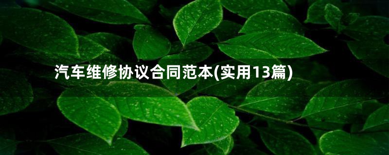 汽车维修协议合同范本(实用13篇)