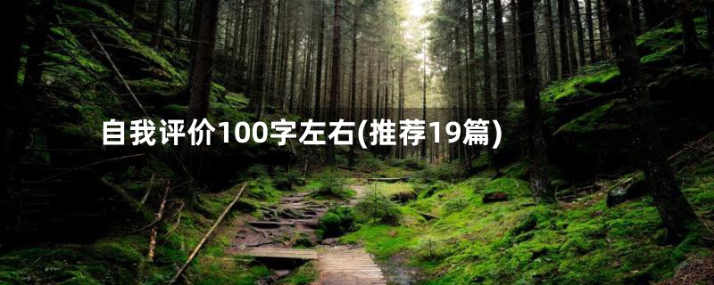 自我评价100字左右(推荐19篇)