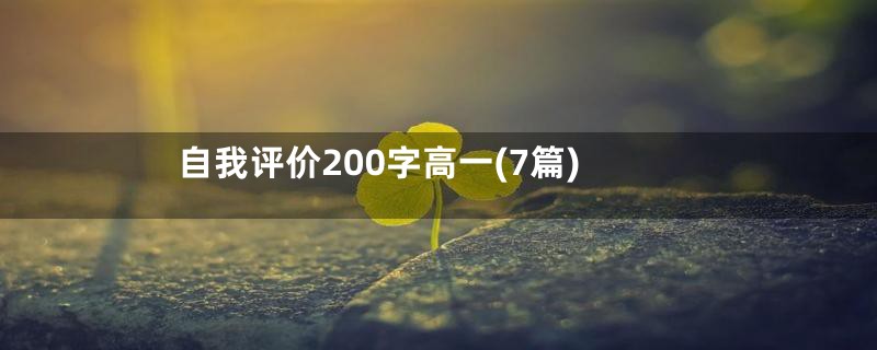 自我评价200字高一(7篇)