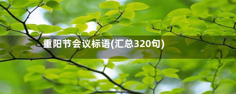 重阳节会议标语(汇总320句)