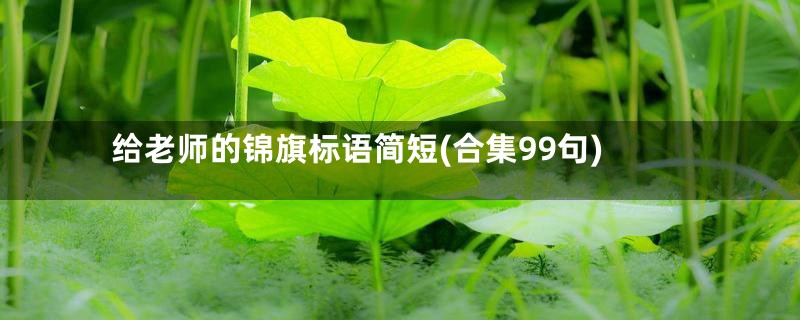 给老师的锦旗标语简短(合集99句)