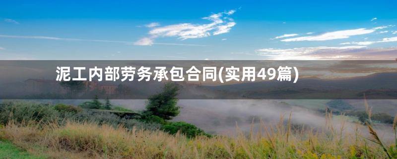 泥工内部劳务承包合同(实用49篇)