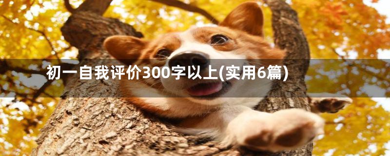 初一自我评价300字以上(实用6篇)