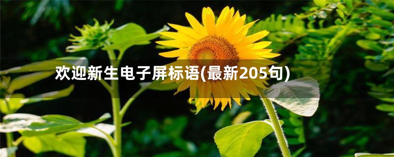 欢迎新生电子屏标语(最新205句)