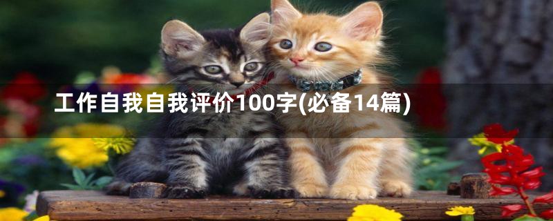 工作自我自我评价100字(必备14篇)