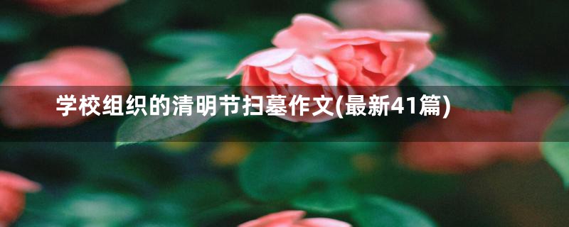 学校组织的清明节扫墓作文(最新41篇)