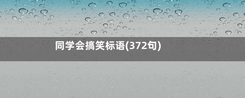 同学会搞笑标语(372句)