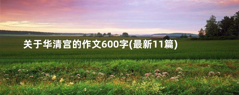 关于华清宫的作文600字(最新11篇)