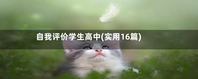 自我评价学生高中(实用16篇)