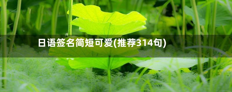 日语签名简短可爱(推荐314句)