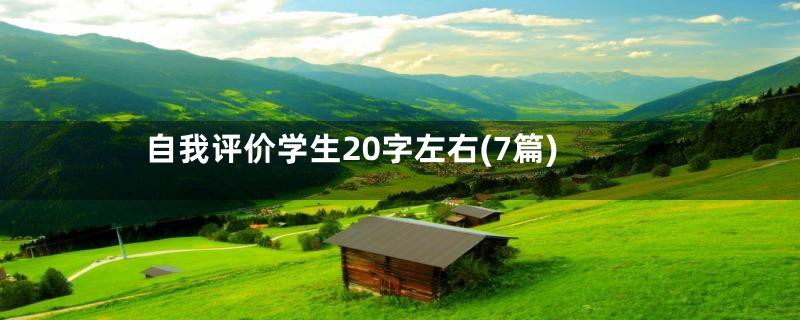 自我评价学生20字左右(7篇)