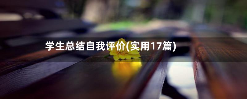 学生总结自我评价(实用17篇)