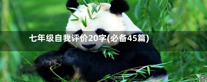 七年级自我评价20字(必备45篇)