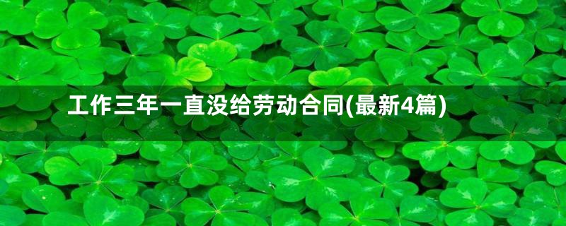 工作三年一直没给劳动合同(最新4篇)