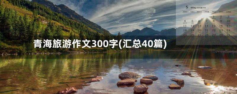 青海旅游作文300字(汇总40篇)