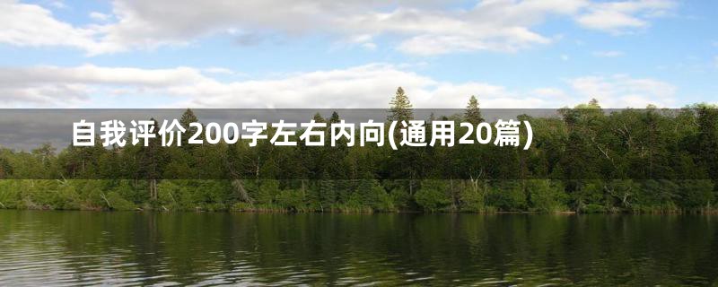 自我评价200字左右内向(通用20篇)