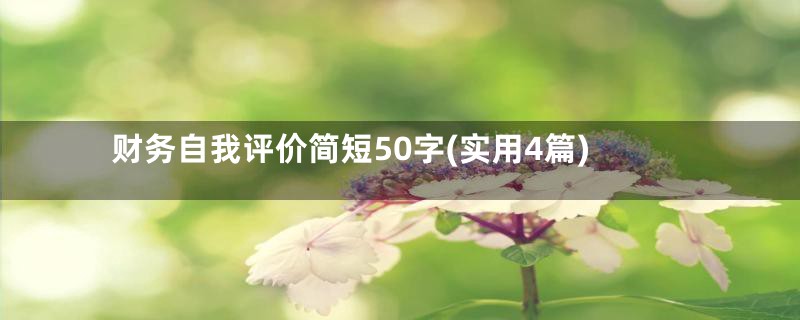 财务自我评价简短50字(实用4篇)