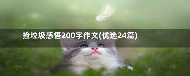 捡垃圾感悟200字作文(优选24篇)