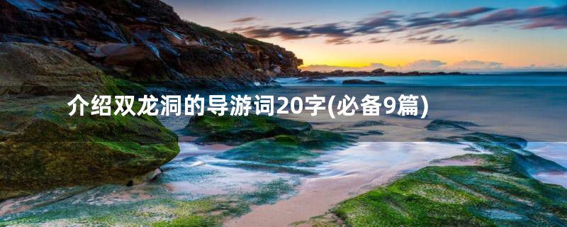 介绍双龙洞的导游词20字(必备9篇)