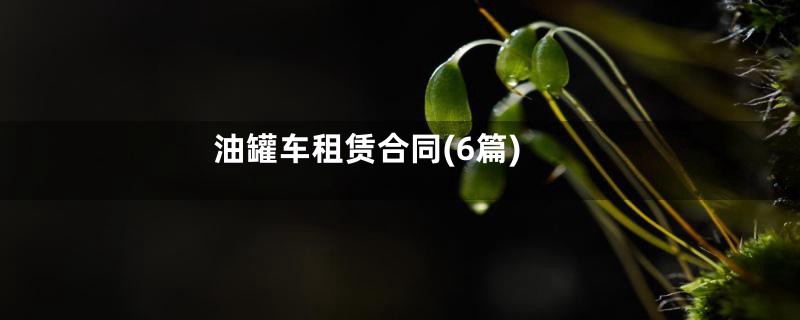 油罐车租赁合同(6篇)