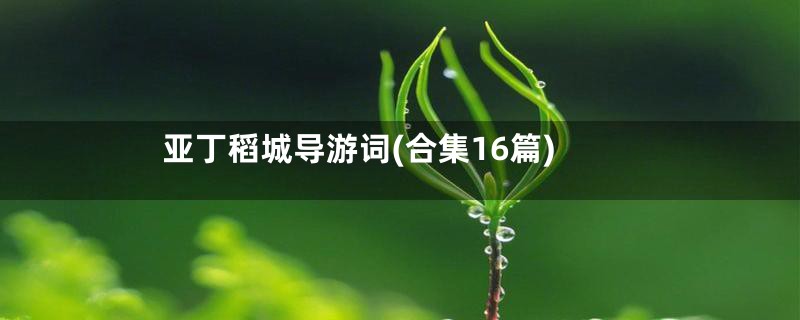 亚丁稻城导游词(合集16篇)