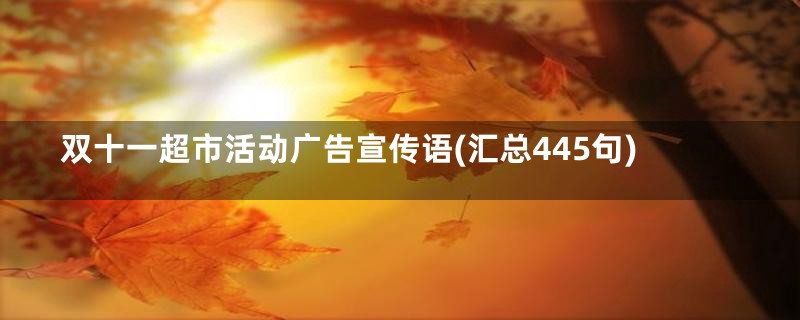 双十一超市活动广告宣传语(汇总445句)