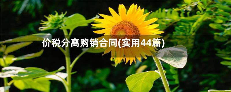 价税分离购销合同(实用44篇)