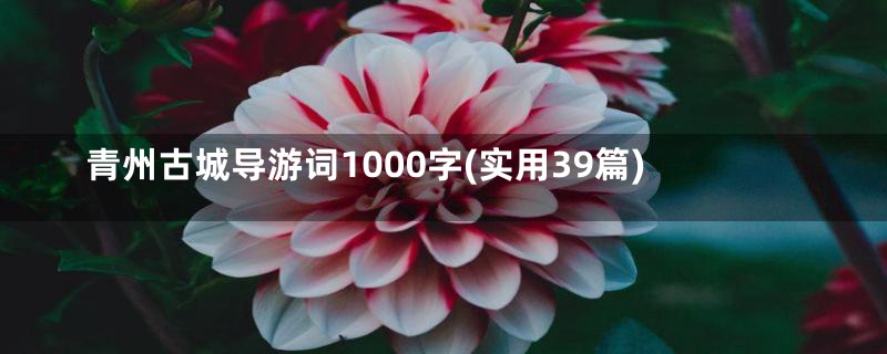 青州古城导游词1000字(实用39篇)