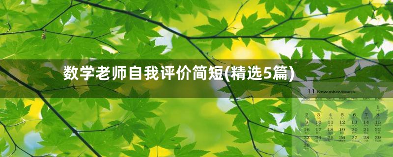 数学老师自我评价简短(精选5篇)