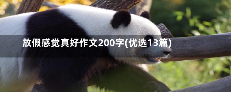 放假感觉真好作文200字(优选13篇)