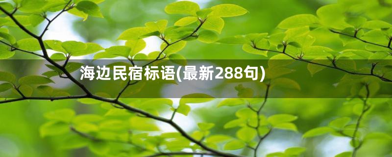 海边民宿标语(最新288句)