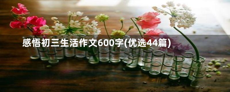 感悟初三生活作文600字(优选44篇)