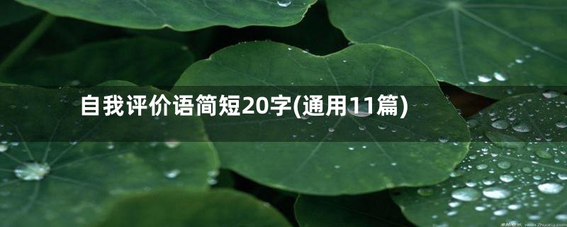 自我评价语简短20字(通用11篇)