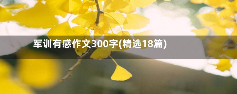 军训有感作文300字(精选18篇)