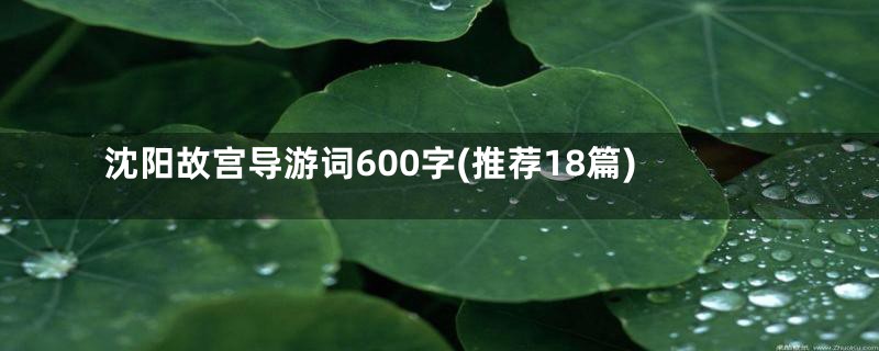 沈阳故宫导游词600字(推荐18篇)