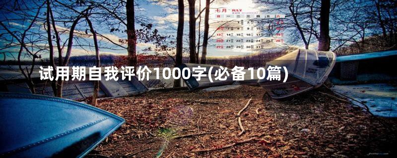 试用期自我评价1000字(必备10篇)