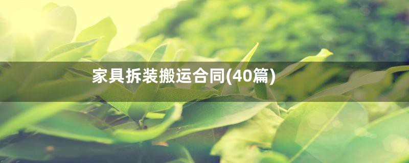 家具拆装搬运合同(40篇)